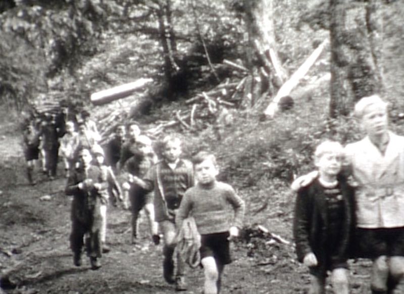 Fichier:Vignette Grand Sterpois.jpeg