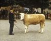 Activités 1955 : Concours de bovin de Wissembourg