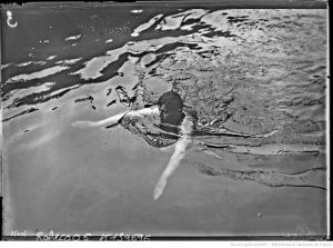 Brasse (natation) (photographie de (...)Agence Rol btv1b53111959n.jpg