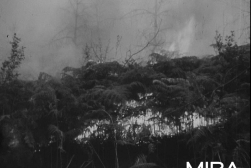 Fichier:Incendie forêt de Fontainebleau.png